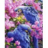 Diamond painting vogels papegaai ara