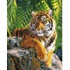 Diamond painting tijger op een rots