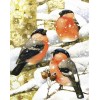 Diamond painting vogels sneeuw