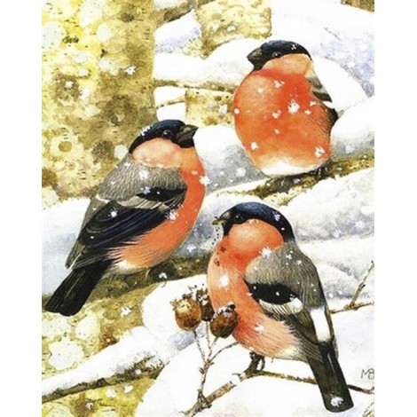 Diamond painting vogels sneeuw