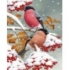 Diamond painting vogels winter