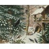 Diamond painting vogels in de winter