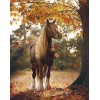 Diamond painting paard herfst