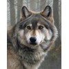 Diamond painting wolf bos portret