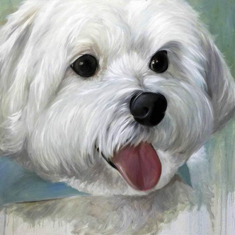 Diamond painting witte hond