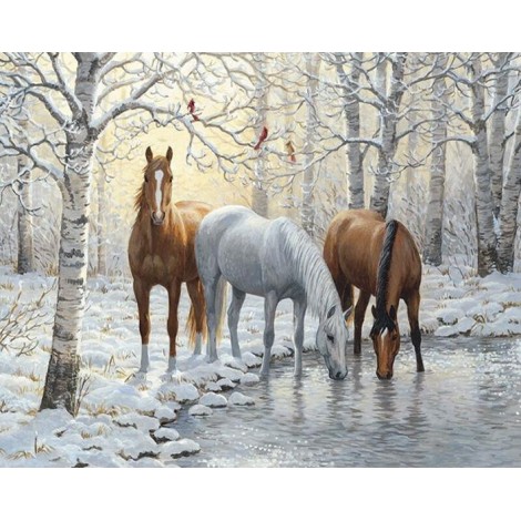 Diamond painting paard in de sneeuw